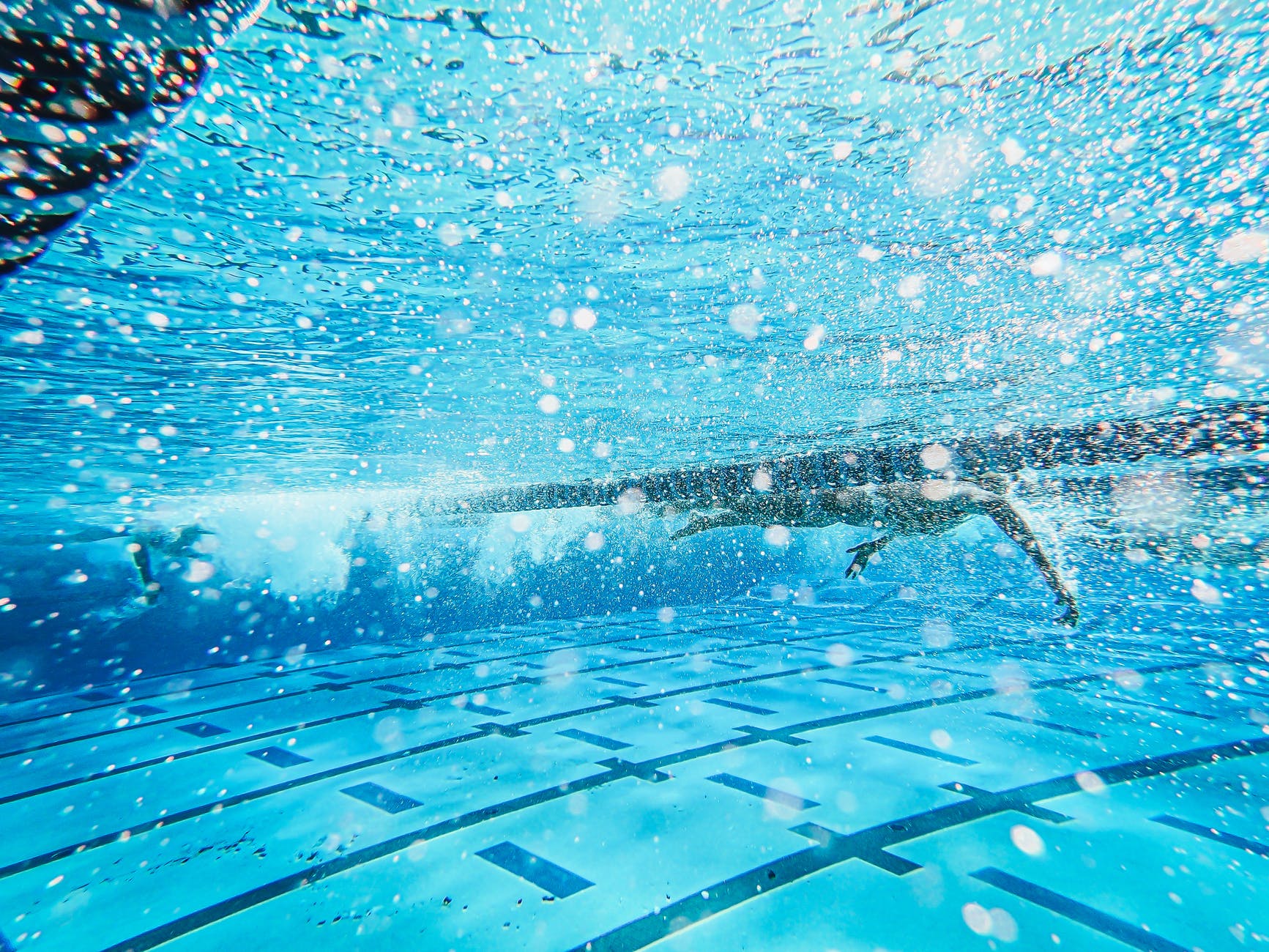 underwater shot of an athlete swimming on the pool