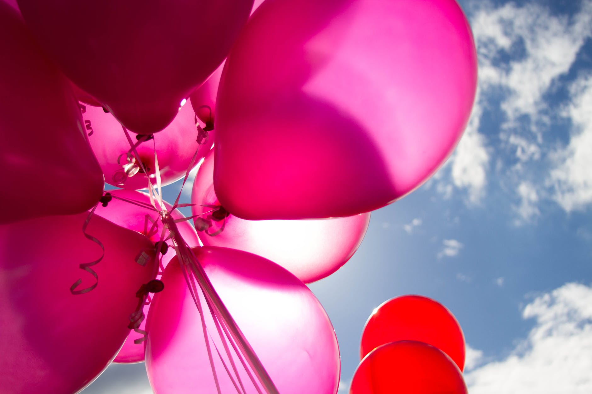 low angle shot of pink and red balloons